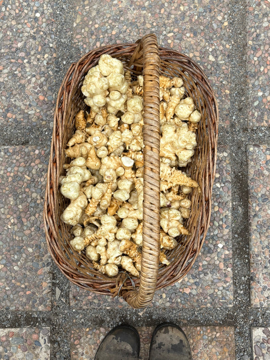 Topinambur 500g